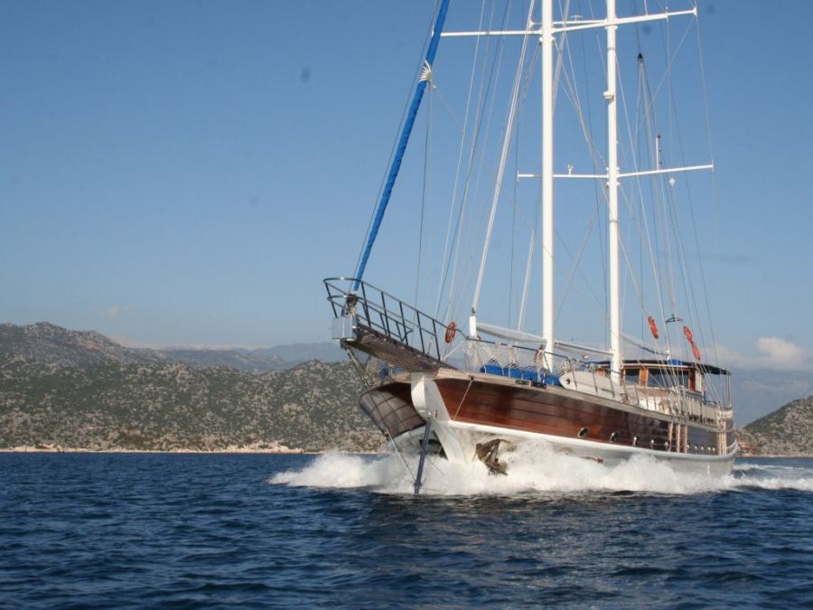 FAQs about Blue Cruises?