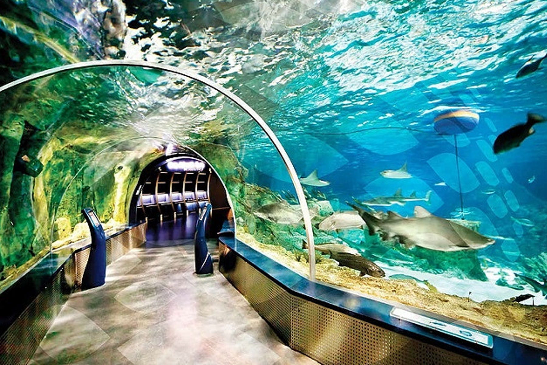 Istanbul Aqua Florya Excursion