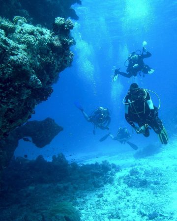 Can you Dive and what Costs a Scuba Dive Excursion in Turkey?