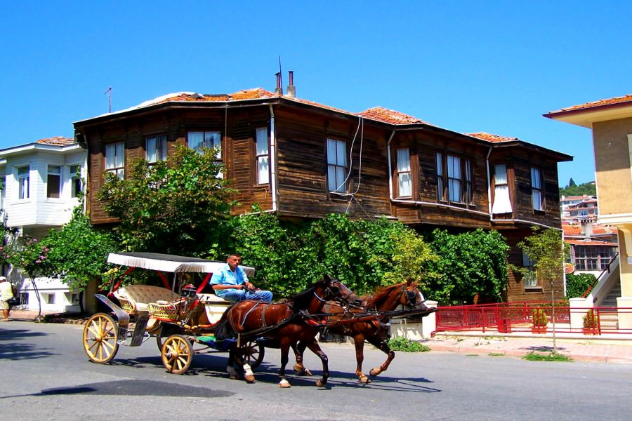 Istanbul Princess Island Full-day Excursion