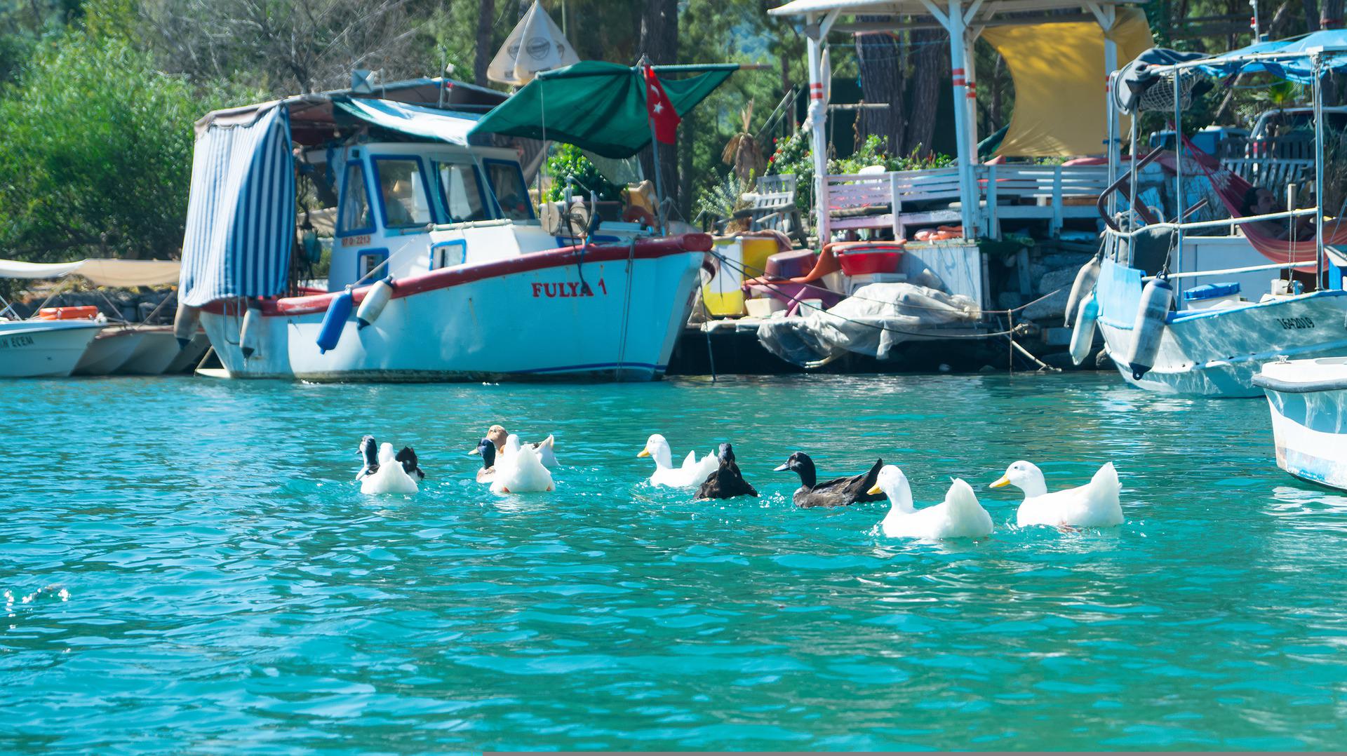 Kemer Phaselis Boat Trip