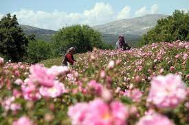 Eğirdir Lake and Isparta Rose Gardens from Alanya