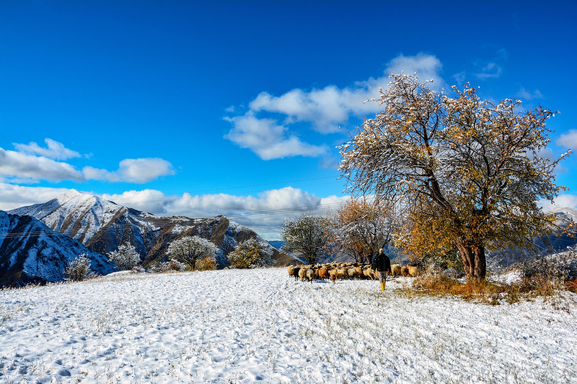 8 Days Turkey Winter Highlights Tour