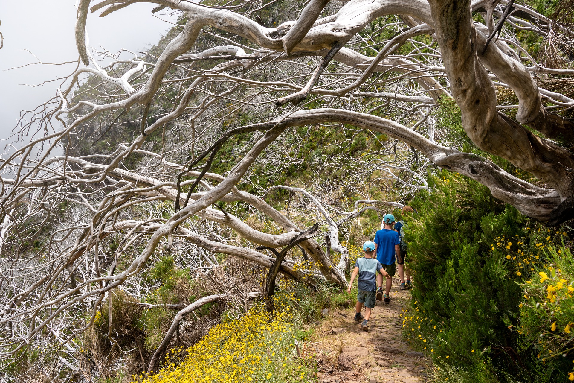 6 Days Carian Trail Hiking from Dalaman