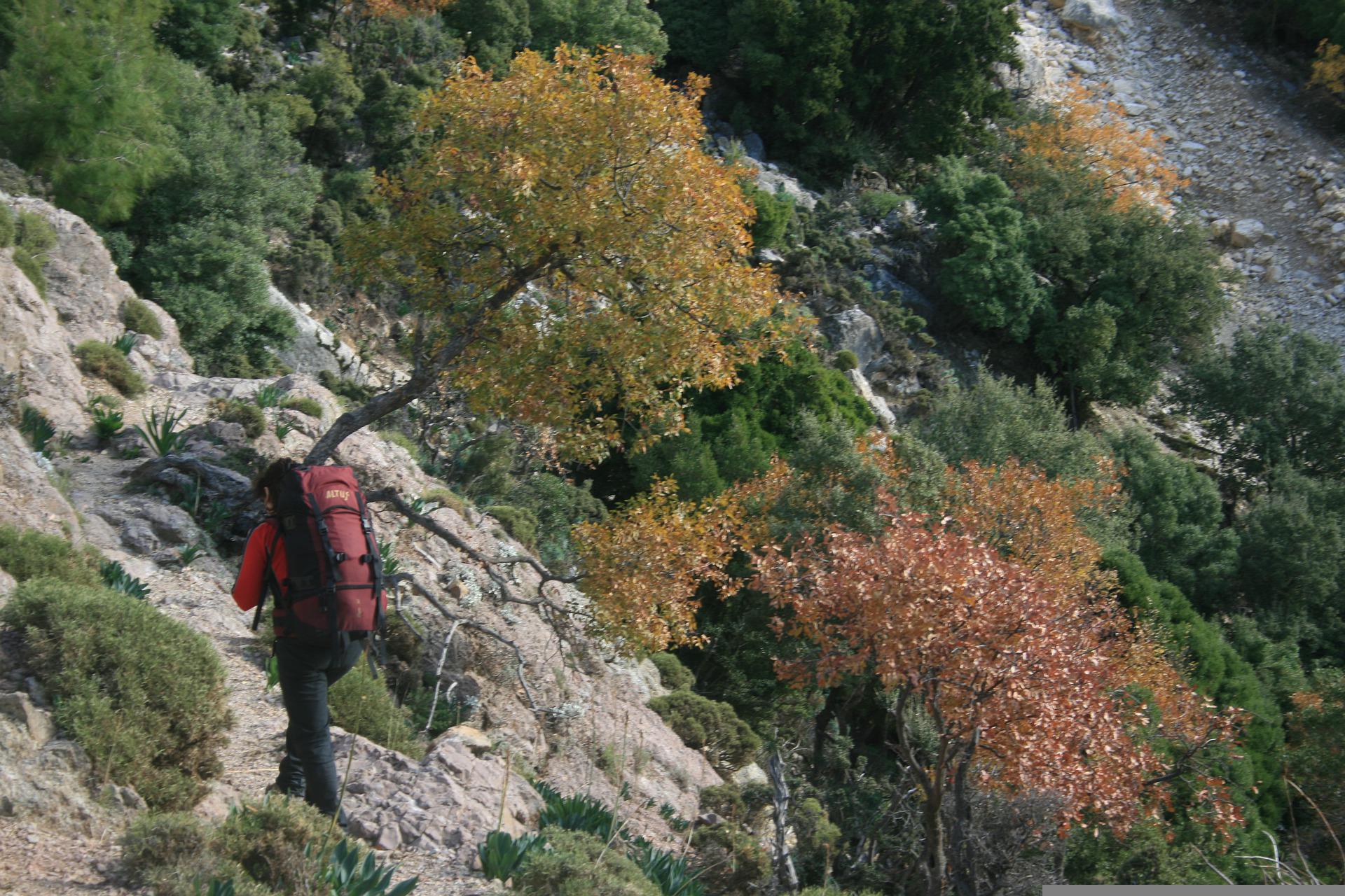 What are the best Walking and Hiking trails in Turkey?
