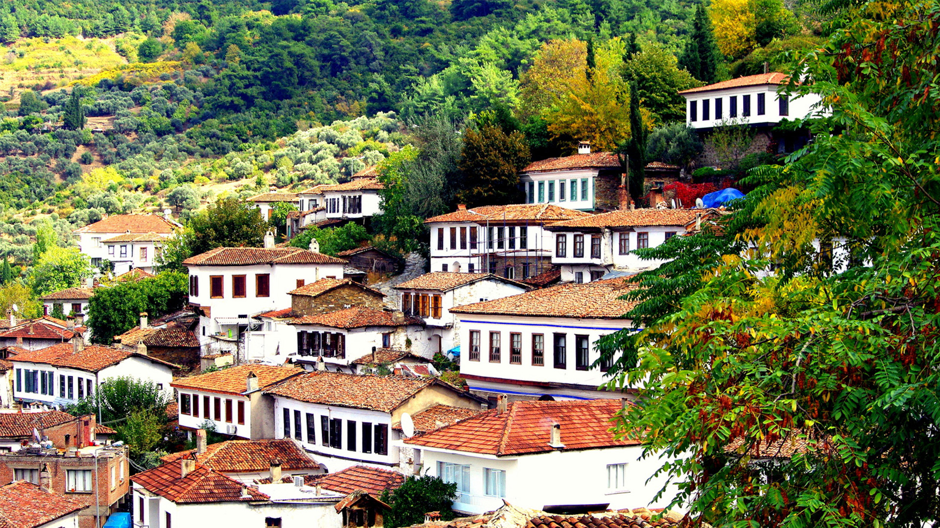 Galeri