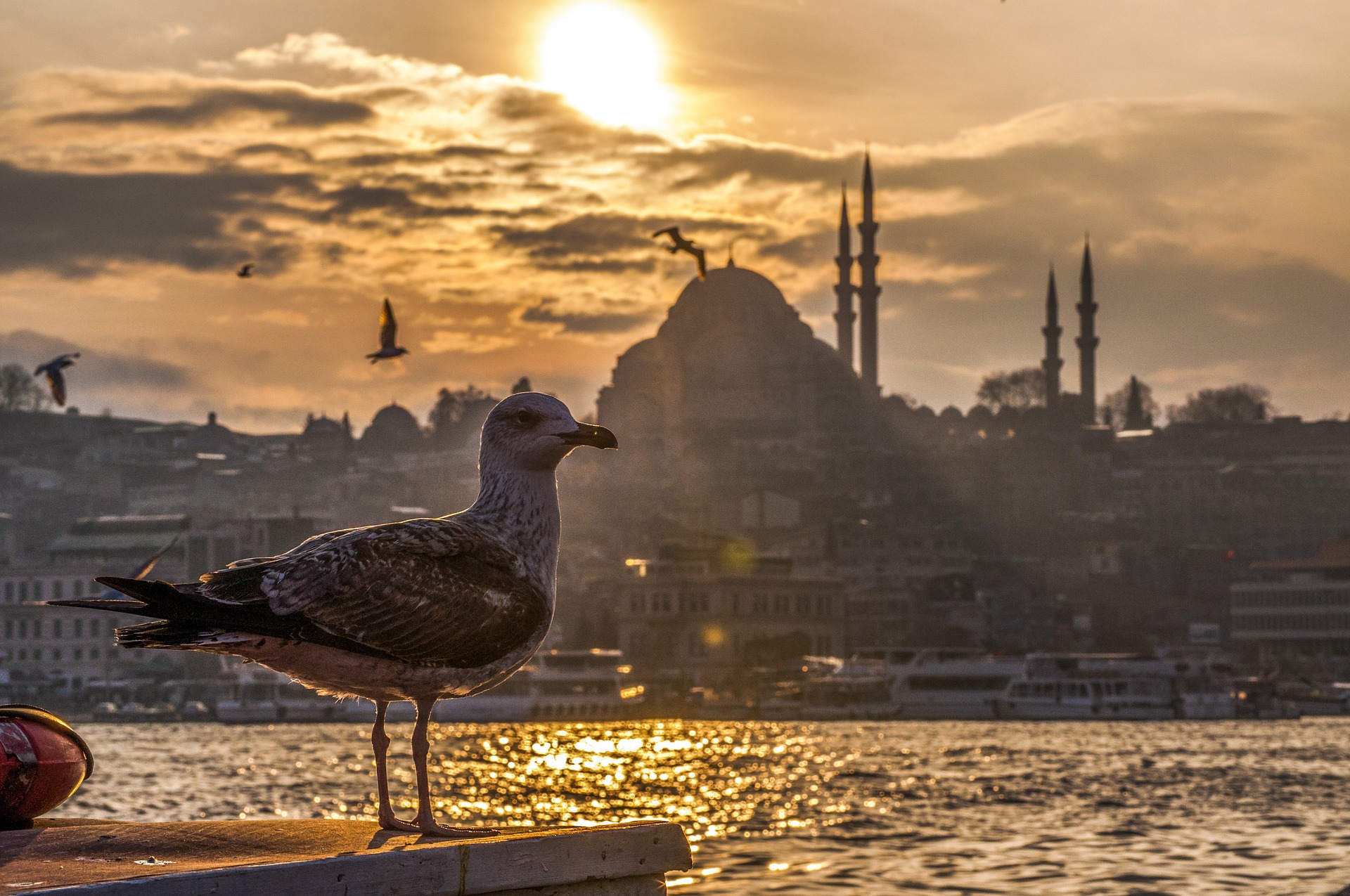 Pamukkale, Cappadocia, Istanbul, Ephesus, Antalya and Bodrum Tours with Moonstar Tour