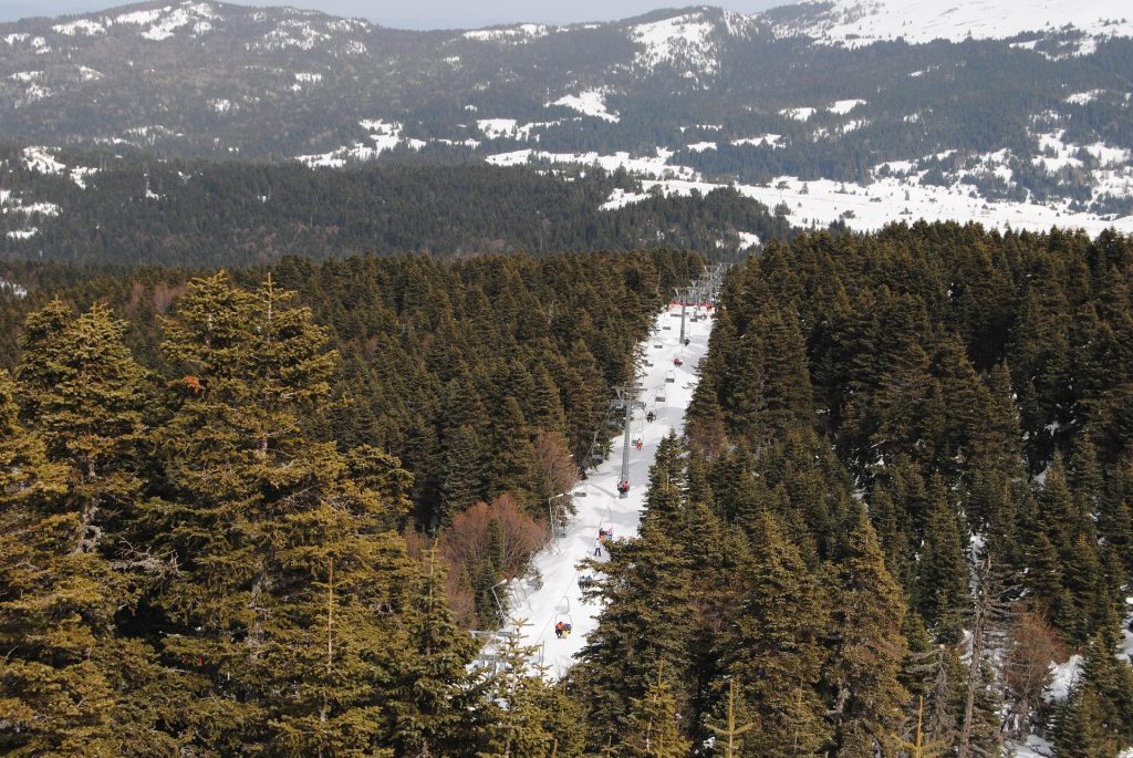 bursa-2828451_1920-1024×685