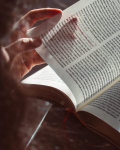 cropped book 6957870 1920