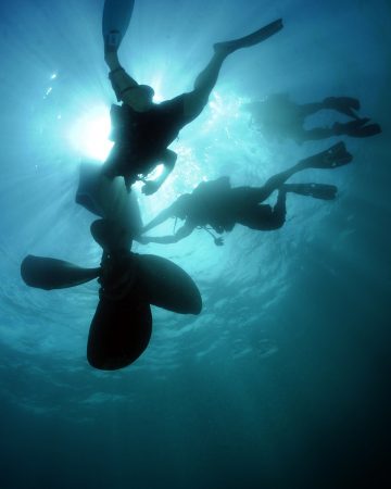 Liphutheloana tsa Diving Ecursions